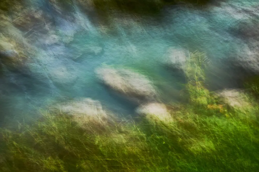 Naturaleza y movimiento, Virgilio De Mier · fotografía 1 de 4