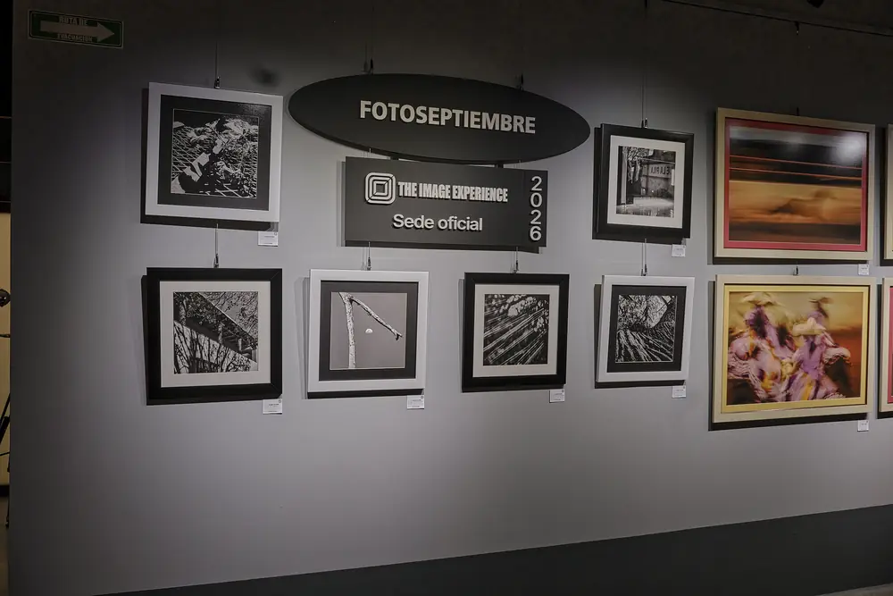 Virgilio De Mier Gallery · foto 5 de 23